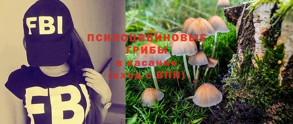 а пвп мука Абаза