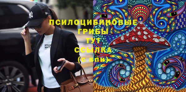 соль ск Абинск