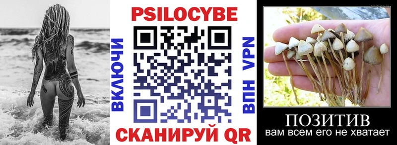 hydra зеркало Кинешма Псилоцибиновые грибы прущие грибы