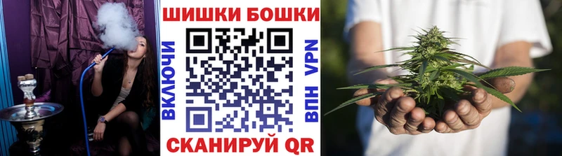 где можно купить   Кинешма  Канабис ГИДРОПОН 